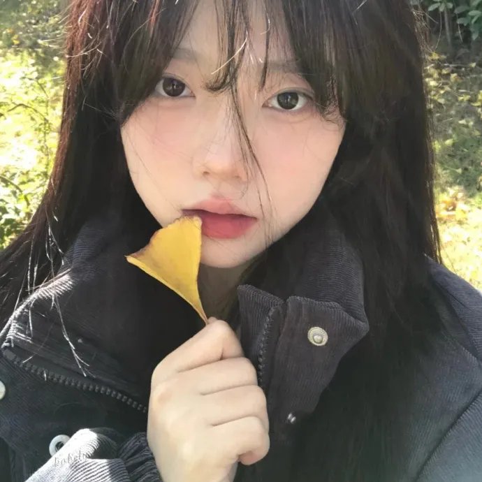 奇怪的猫咪